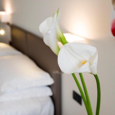 Hotel Plaza San Martino Siccomario Eksteriør bilde